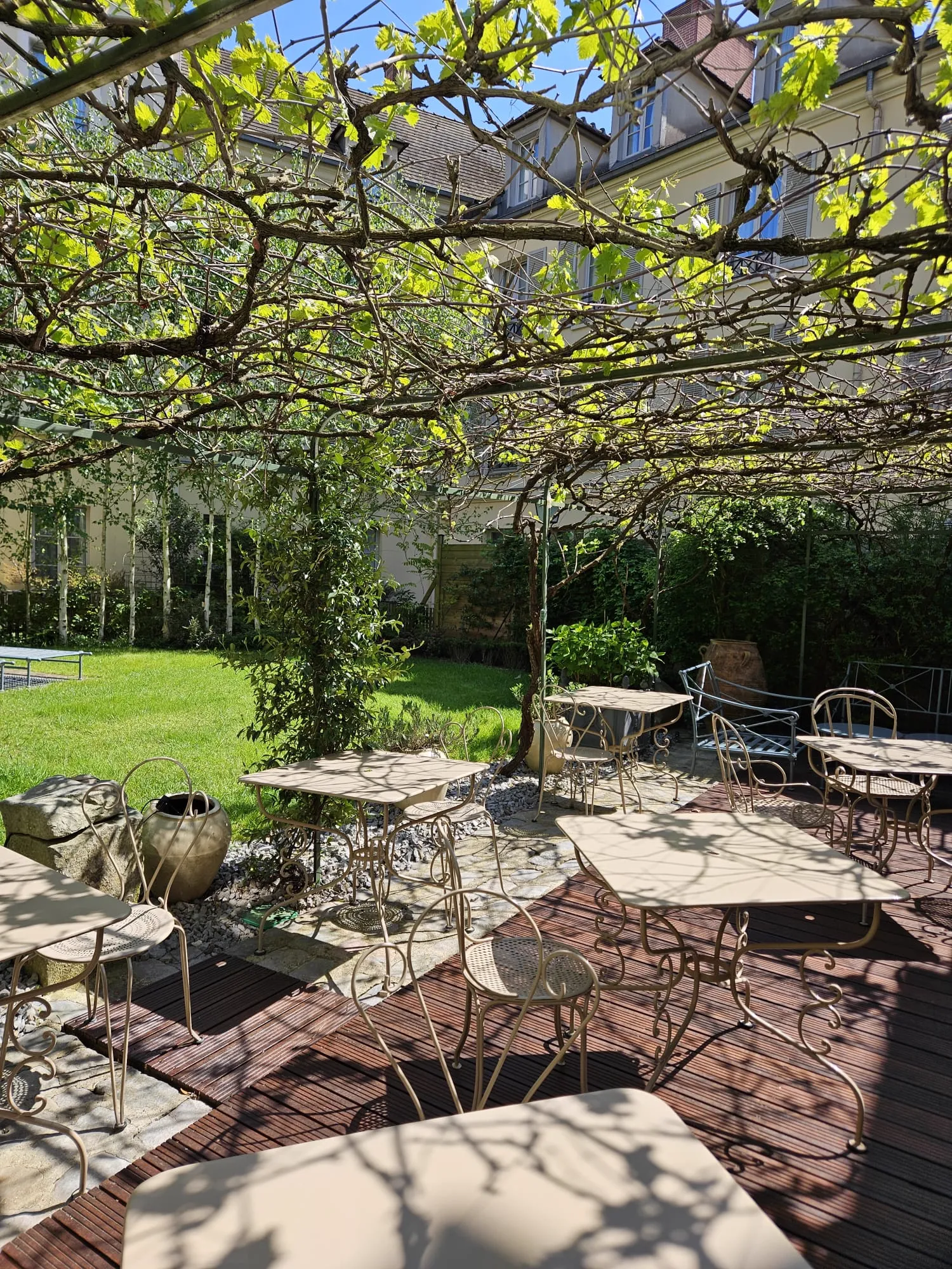 Terrasse privative fleurie de mimosa et de vigne – espace extérieur pour cocktails et vins d'honneur à Rambouillet